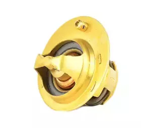 Термостат, охлаждающая жидкость BSG купить